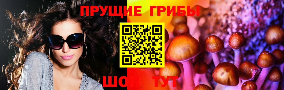 как найти закладки  Псилоцибиновые грибы мухоморы  Вход с VPN  Магадан 